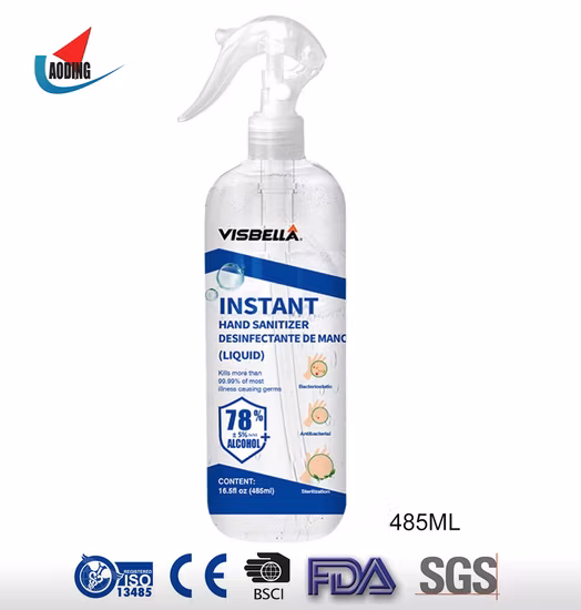 500 ml OEM Private Label Wasserloser Handalkohol-Händedesinfektionsspray